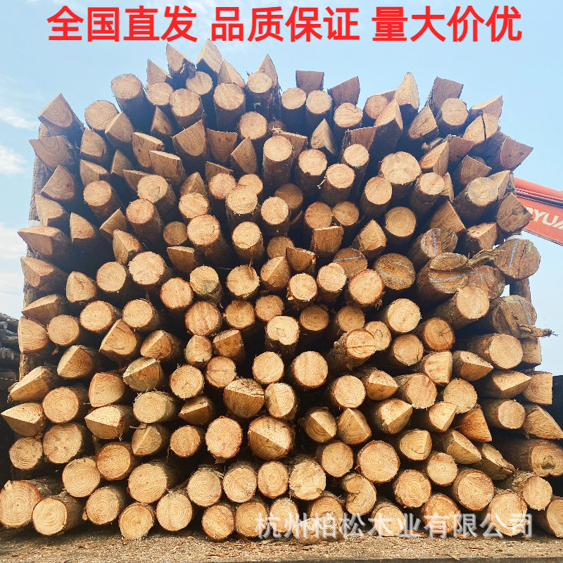 松木桩白松落叶松削尖河道打桩