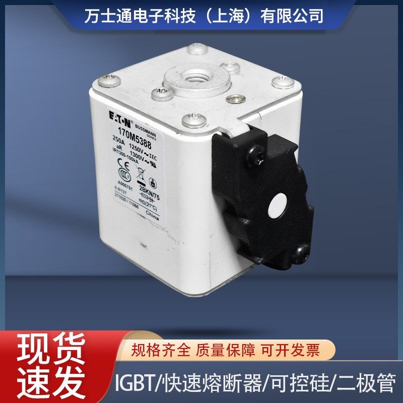 全新熔断器现货170M5388/5389/5390/5391/5392/5393