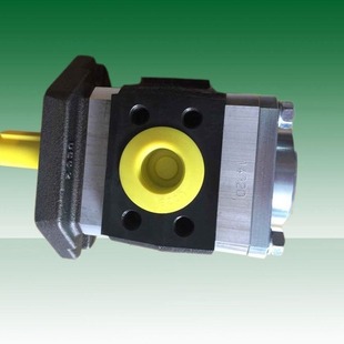 10S123 HQI2 016RK33 11S123 hoerbiger 025RK33