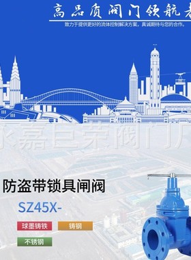 埋地式弹性座封闸阀SZ45X 自密封 耐腐蚀 不锈钢球墨铸铁南高阀门