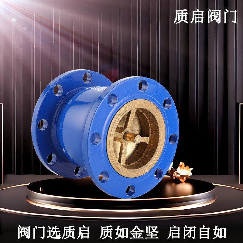 泉州质启消声止回阀管道单向阀法兰立式水管逆止阀HC41X-16止回阀