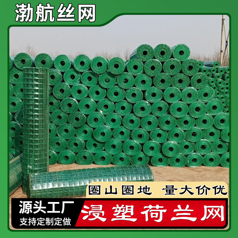 硬塑铁丝荷兰网浸塑6厘米孔大棚养殖用丝网护栏圈地养殖鸡鸭网片