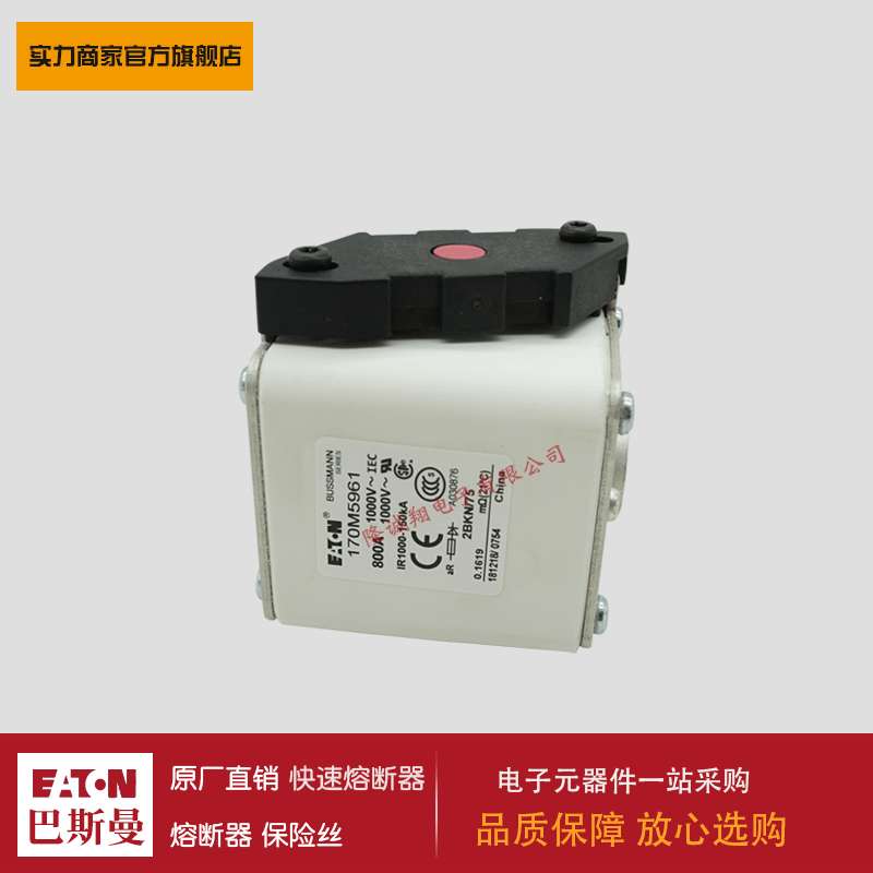 熔断器170M5960 170M5961 170M8600 170M8601 170M8602 170M8603
