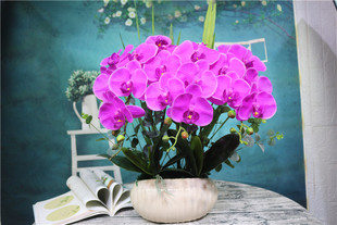 仿真花批发假花批发塑料花盆景套装花艺整体套装兰花手感蝴蝶兰花