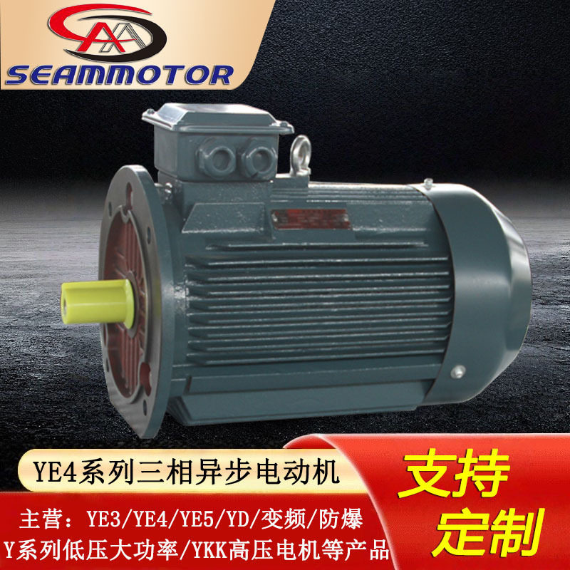 河北西玛电机订置生产YE4-2极3-355kw超高效三相异步电动机