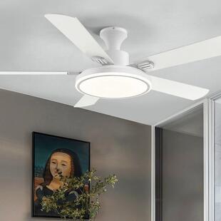风扇灯客厅家用餐厅吊扇灯带灯电风扇吊灯灯扇一体两用2026年新款
