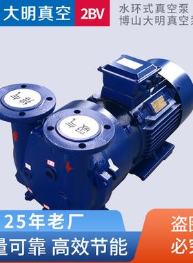 淄博博山铸铁不锈钢2BV51115.5KW水环式真空泵