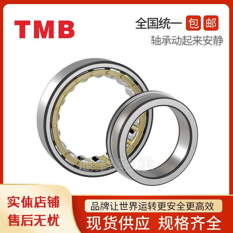 天马TMB圆柱滚子轴承N/RN221 222 224 226 228 230 232 234 236EM