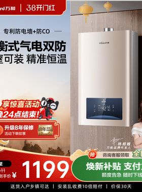 万和平衡式燃气热水器家用浴室安装天然气煤液化气官方旗舰店WE3