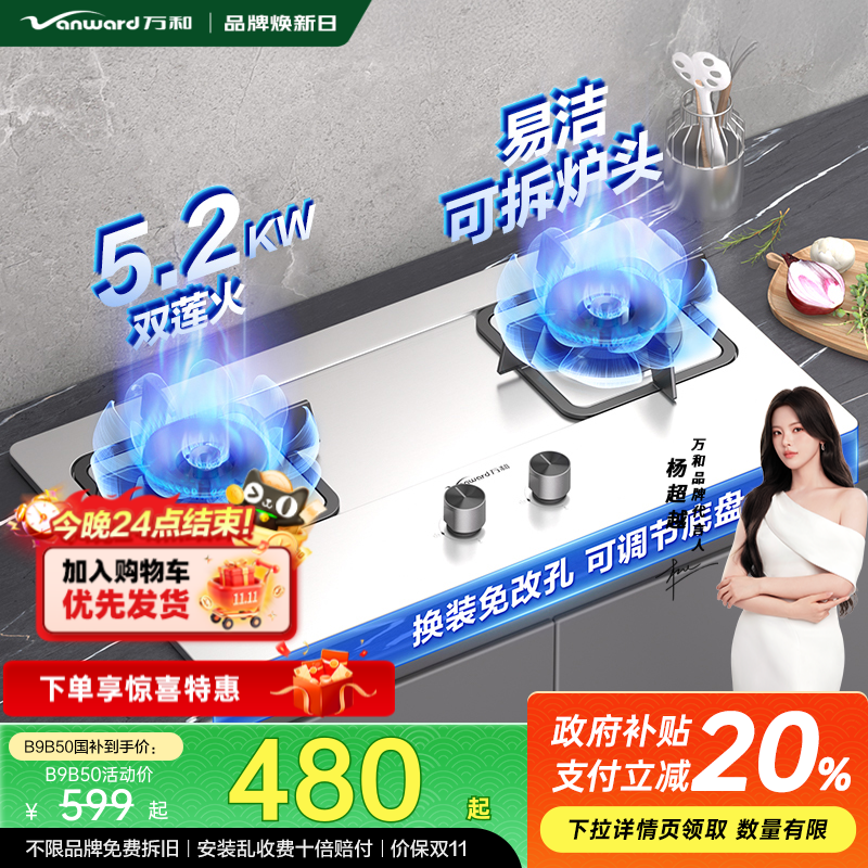 万和燃气灶双炉灶台式煤天然液化气具不锈钢燃气灶B9B