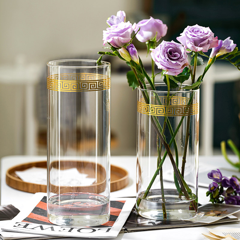 轻奢花瓶摆件玻璃透明水养富贵竹玫瑰百合插花客厅桌面落地装饰品,鲜花速递/花卉仿真/绿植园艺,花瓶,淘宝优惠券,粉丝福利购,淘宝优惠卷