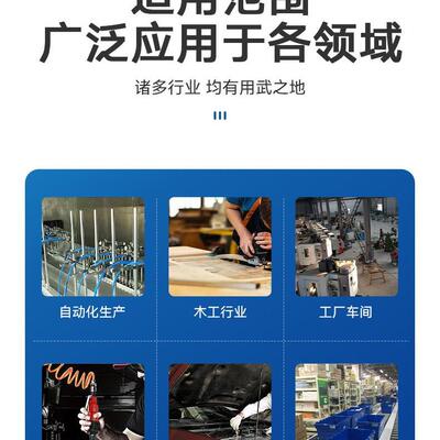 B.N.Q.S.隔膜泵DIPHR电磁AGMPUMP-DP-125-50G-6DP-12575A-1增压泵