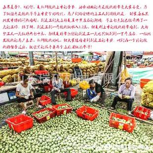 脱壳省力脱肉机鲜核桃农用商用工具山核桃剥离器青皮核桃去皮机