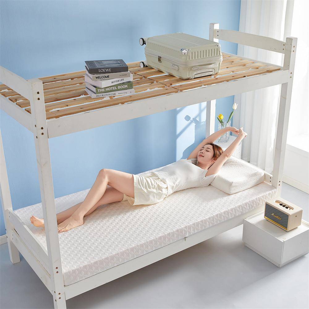 EPU简约床垫租风房宿舍学软垫凝生胶记忆海绵棉硬质榻榻米垫子