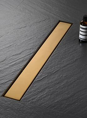 3隐0金4不锈钢色家用浴淋房下水道防臭防反味长条形藏地漏D87956L