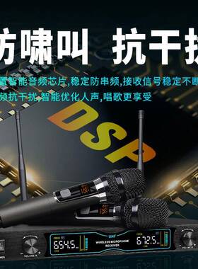 德声源头厂T克W20无线麦克风真U段工可NIG调频不5串频防啸叫麦风