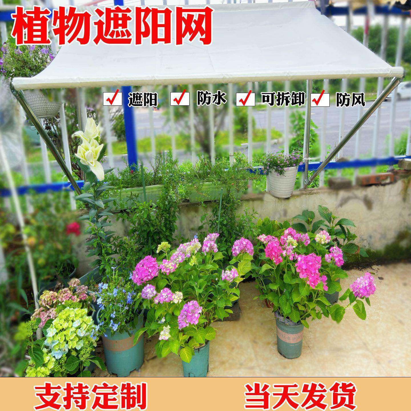 阳网加密加厚防布带支架阳防晒遮阴网CTA植物遮多水肉花卉台遮阳