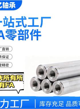 管型导向轴 两端内螺纹型 带扳手槽型E-PSPJW、E-PSPWR