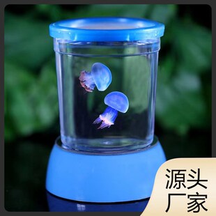 速发赤月水母活物懒生宿舍适合儿童小孩家养人月学赤动