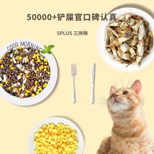 速发流浪小袋便携救助粮成猫幼猫2kg蓝增肥发腮0养小包装1营斤50