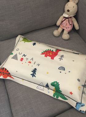 速发60支贡缎长全棉绒棉枕套儿童春夏秋单品枕爱可套8X58cm