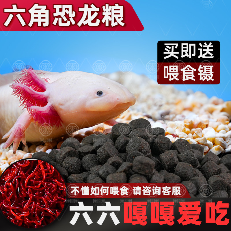 六角恐龙鱼饲料美西螈专用蝾螈鱼食娃娃鱼清道夫小颗粒鱼粮,宠物/宠物食品及用品,鱼,淘宝优惠券,粉丝福利购,淘宝优惠卷