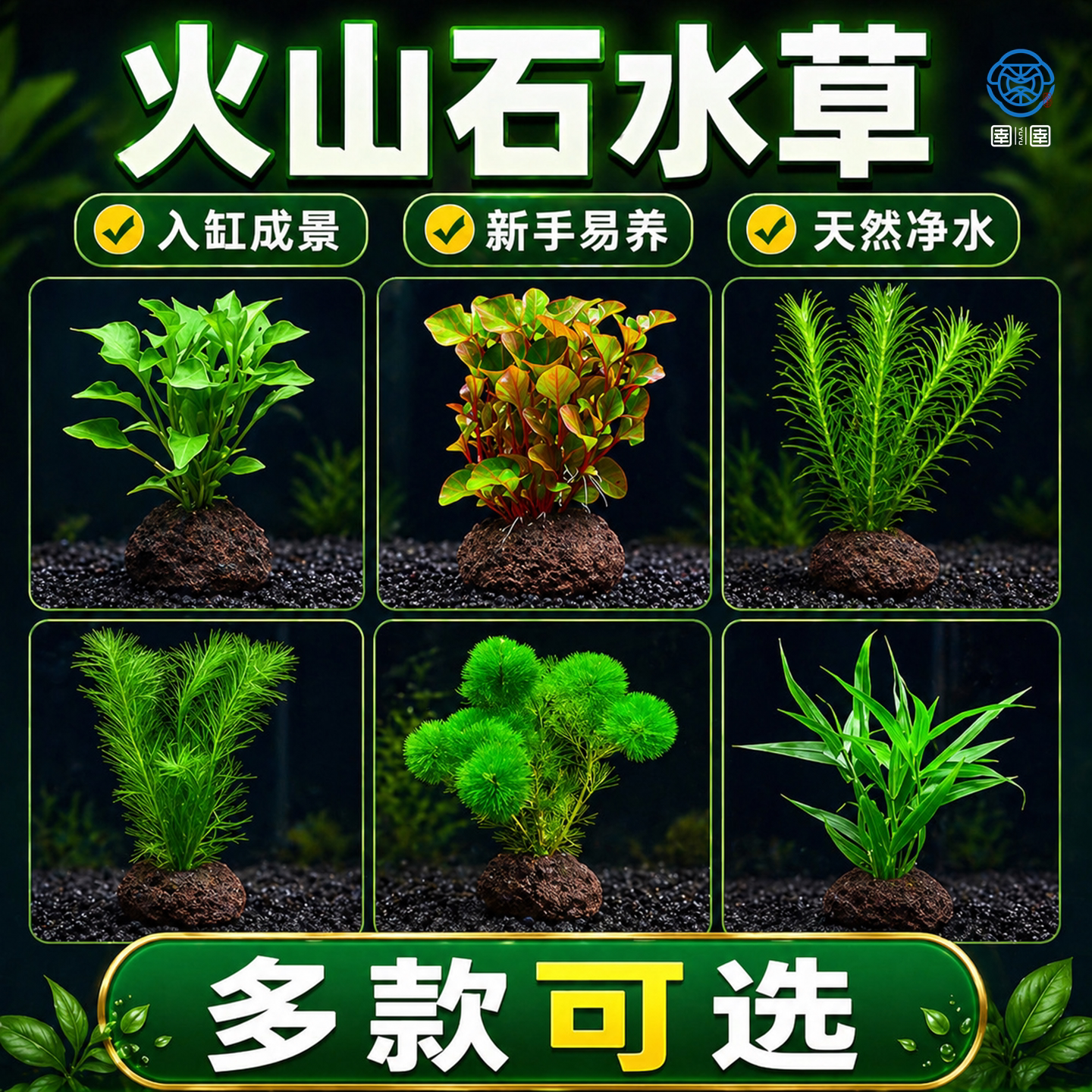 水草植物鱼缸造景生态全套摆件养鱼增氧阴性无需底沙水培净化绿植