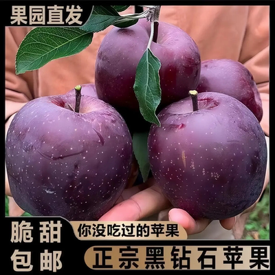 【果农直销】正宗云南黑卡苹果黑钻苹果昭通苹果香甜新鲜糖心/b