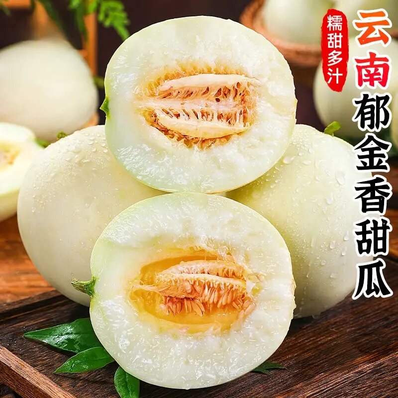 【下单立减50】云南郁金香甜瓜香甜多汁蜂蜜香瓜新鲜水果3/5斤 Q