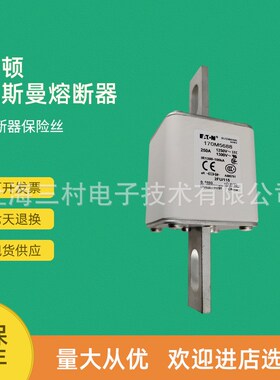 全新原装快速熔断器保险丝170M5589 170M5590 170M5591 170M5592
