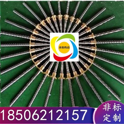 制梯形丝蜗正反杆双向螺纹送料 升E降蜗轮牙R杆T型Z丝杠螺旋传