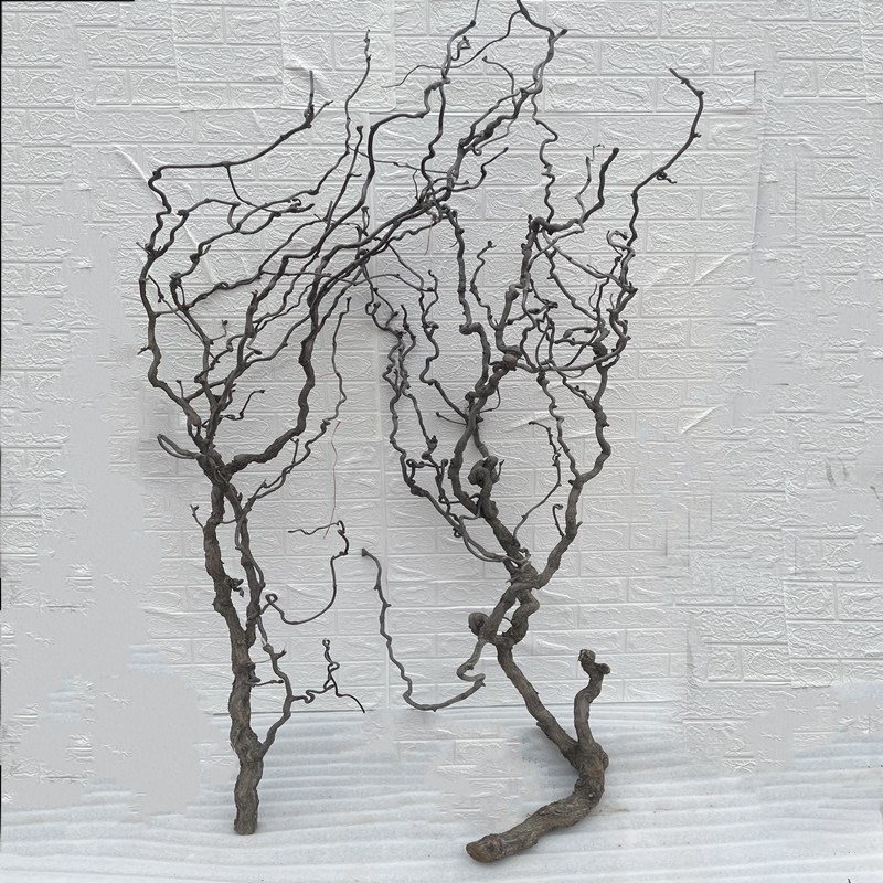树枝装饰干枝壁挂天然多分叉龙枣树枝挂墙衣架手工原木枯树枝摆件