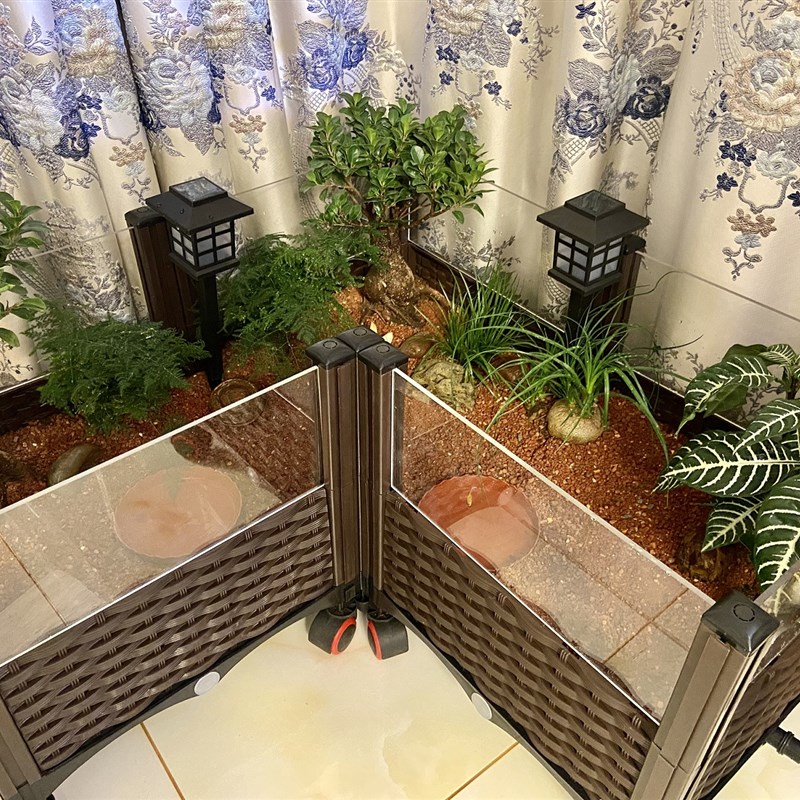 黄缘龟专用饲养箱陆龟半水龟缸生态造景箱 安缘台缘养殖箱