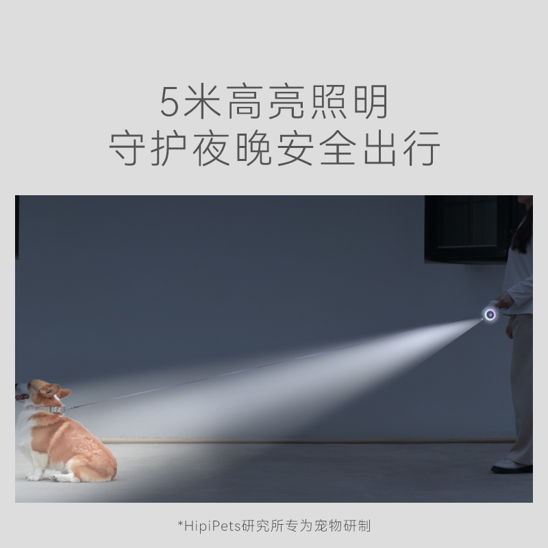 狗狗牵引绳中小型犬带灯自动伸缩遛狗绳狗链泰迪柯基外出宠物用品