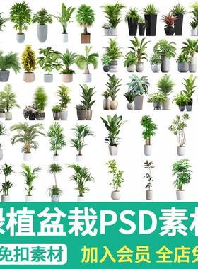 室内盆栽绿植花盆植物组合ps素材现代简约客厅摆件免抠psd免抠图