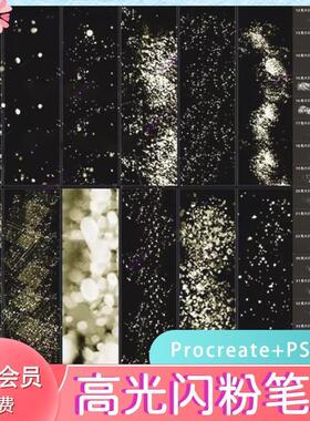 ps笔刷procreate高光闪光银粉闪粉金粉光斑亮闪闪水珠光斑笔刷