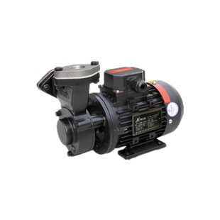 奥兰克AULANK热油泵WL-07 10模温机冷却循环高温热油泵150度200度