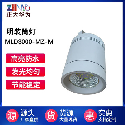 高铁地铁站火车站室机场内外筒灯120W100W50W60W80WLED明装筒灯