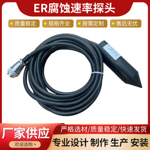 ER腐蚀速率监测探针设备 埋地管道阴极保护腐蚀速率测量ER探头