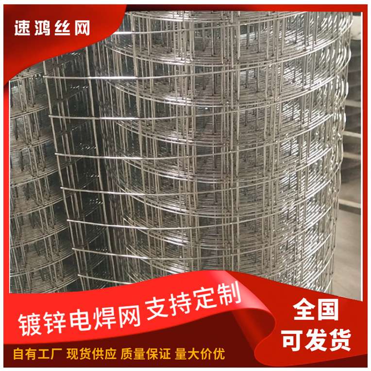 工厂现货墙面抹墙网小丝铁丝网热镀锌电焊网内外墙防裂抹灰网
