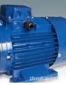 THREE PHASE A.C INDUCTION MOTOR电机YEJ100L2-4