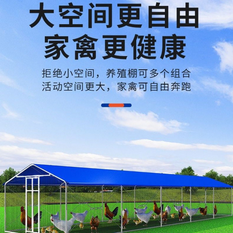 鸡棚鸡笼子户外家禽养殖笼遮雨棚骨架挡风防雨防晒简易棚搭建鸽笼