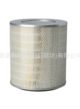 空气滤清器 116079W1 P527484 P532474 空气滤芯