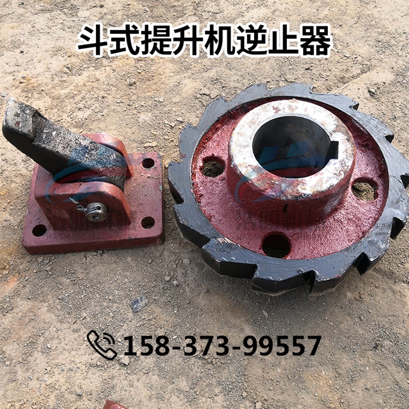 NE板链斗式提升机逆止器棘轮棘爪防倒转装置防逆转齿链轮保护装置