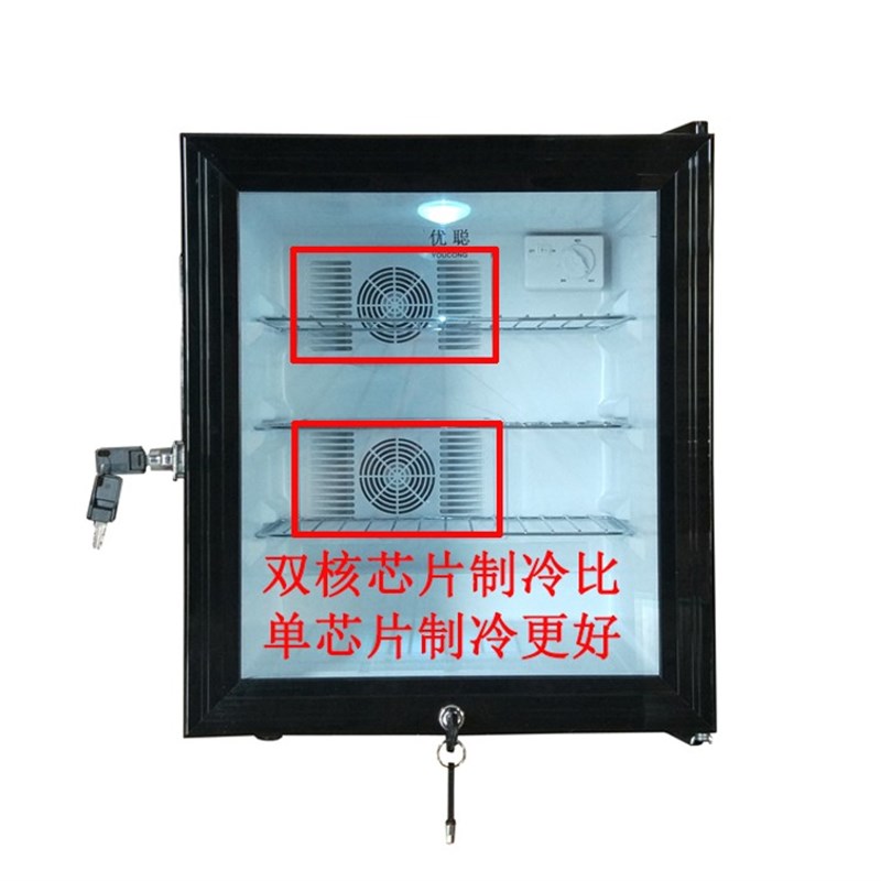 优聪学校幼儿园食品留样柜展示柜保鲜冷藏箱酒店客房冰箱带单双锁
