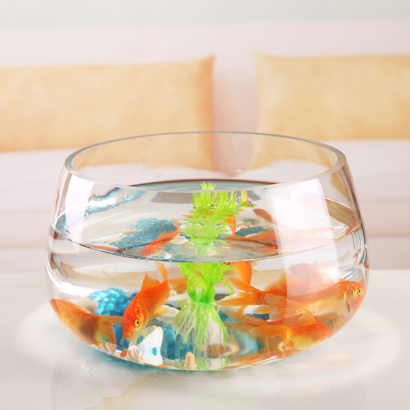 鱼缸透明玻璃办公桌创意水培圆形金鱼缸乌龟缸迷你桌面小型乌龟缸