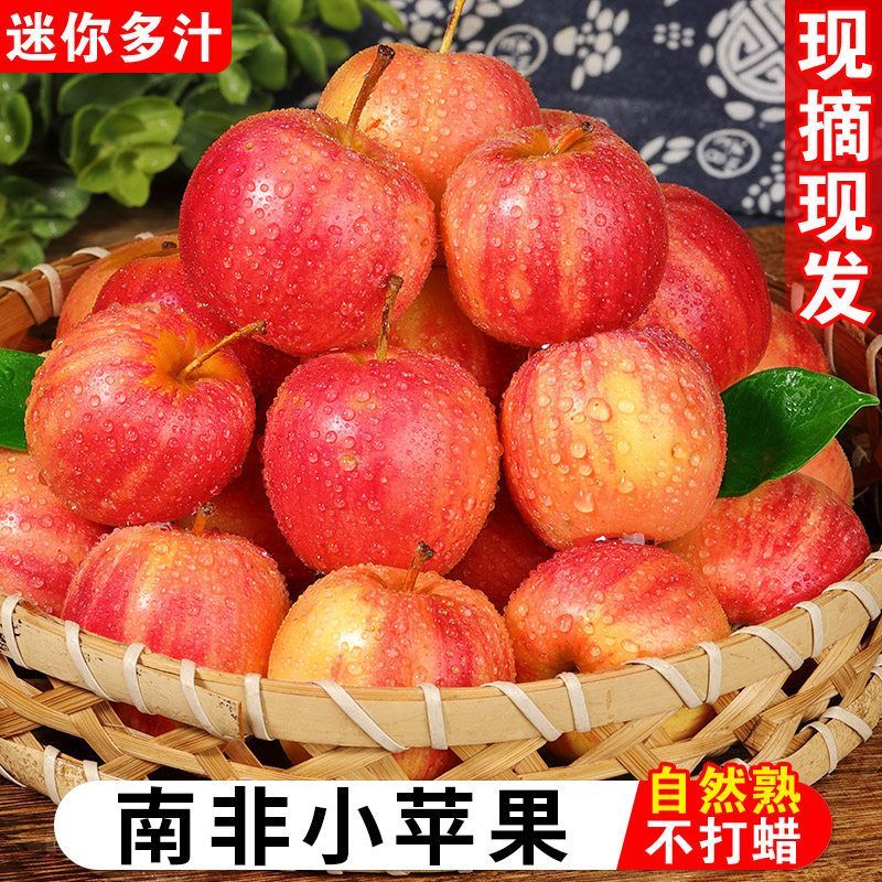 2026南非樱桃小苹果现摘脆甜