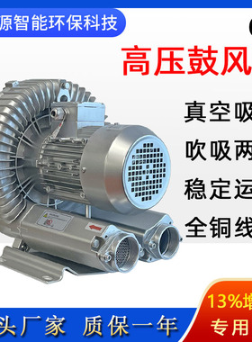 单叶轮旋涡气泵RB-53D-4 2.2KW高压风机RB-61D-2旋涡气泵源头厂家