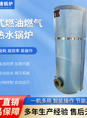 鲁通学校酒店工厂供暖热水炉采暖冷凝热水锅炉燃煤锅炉