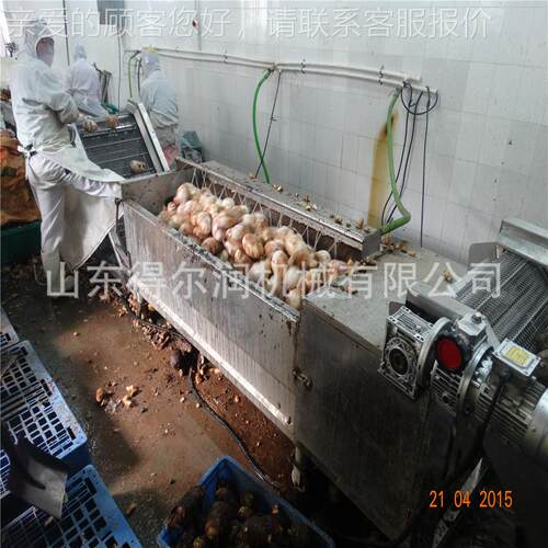 农业小投资 魔芋深加工生产线 芋头去皮清洗机 速冻芋头块油炸机
